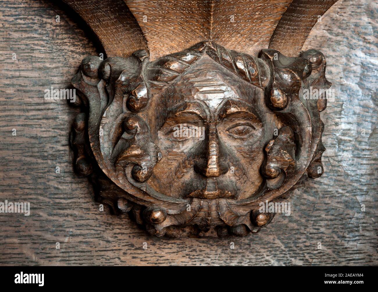 A green man misericord detail in St. Mary`s Church, Adderbury, Oxfordshire, England, UK Stock Photo